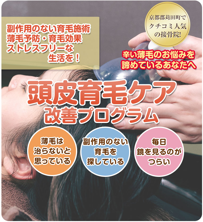 発毛メニュー