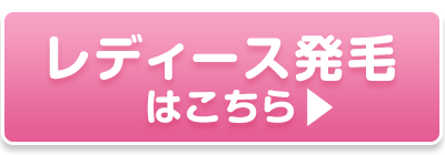 レディース